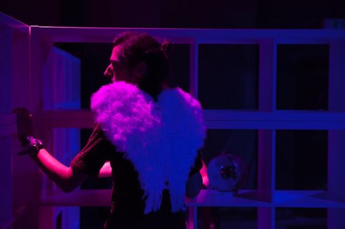 houseoflove_12.jpg