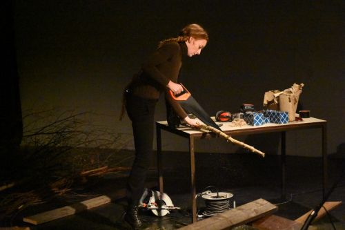 chainsew-zwermers-2.jpeg